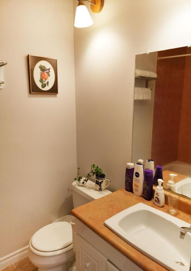 Апартаменти Cozy Private Rm Heart Of North York Free Parking Full Kitchen Close To Downtown Торонто Екстер'єр фото